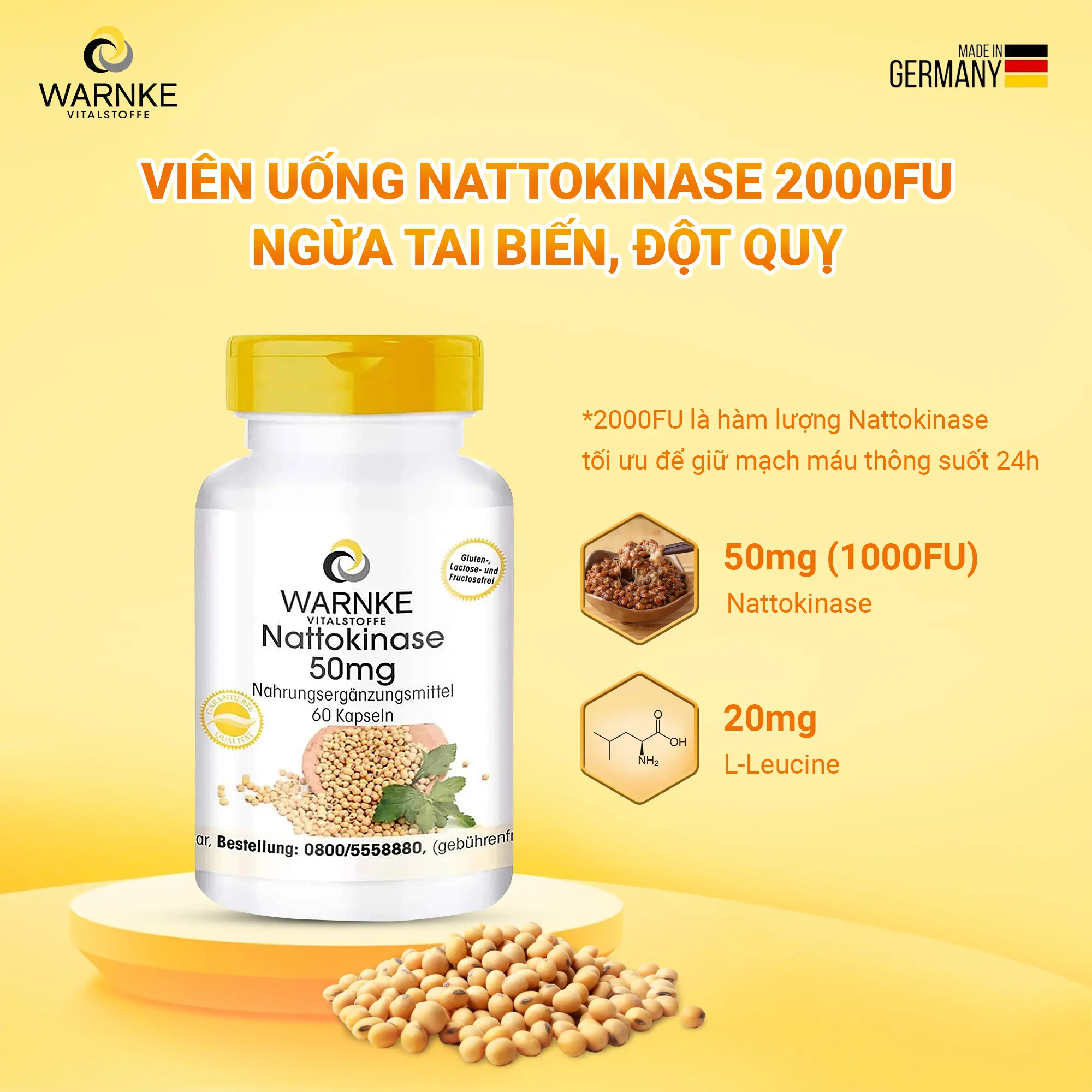 thumbweb_warnke_thanh_phan_natto.webp